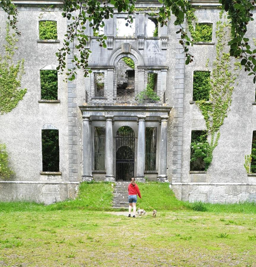 Reed Warbler Cottage Ballinrobe Exterior foto