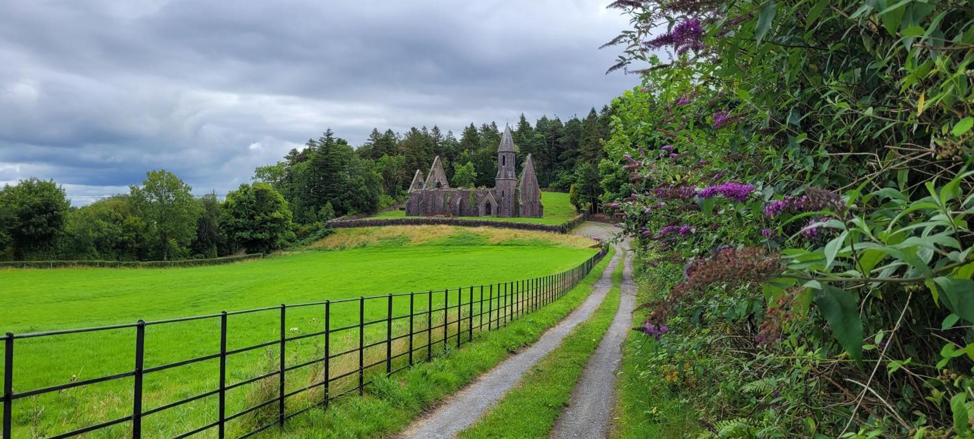 Reed Warbler Cottage Ballinrobe Exterior foto